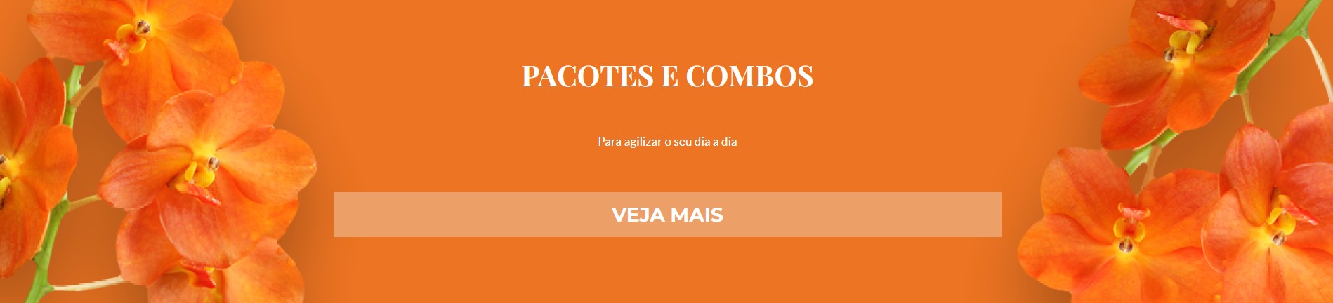PACOTE E COMBOS.jpg